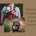 Gopetfriendly inspiration