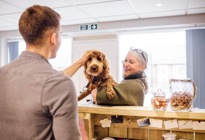 Friendly dog hotel usa hotels affordable chains dogs accommodation travelnuity allow december posted la room