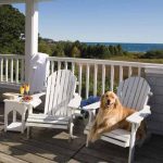 Pet tideline
